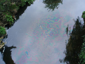 effects of oil spills in water